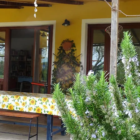 Casa Per Ferie Villaggiocarovana *