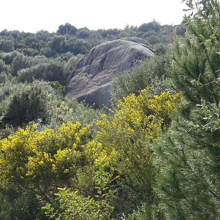 Casa Per Ferie Villaggiocarovana * Castiadas