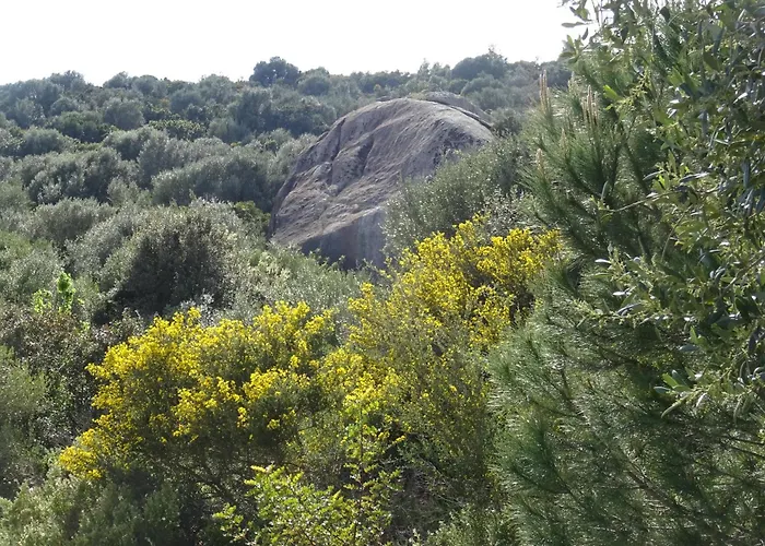Casa Per Ferie Villaggiocarovana * Castiadas